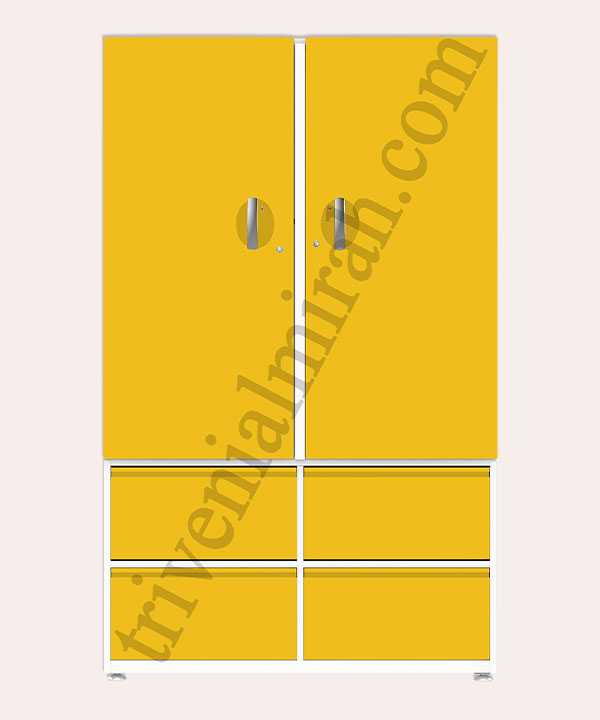 bhagyalaxmi model (new)